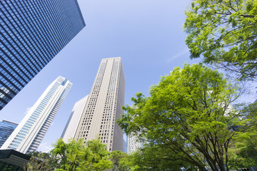 新宿高層ビル群　快晴青空　新緑
