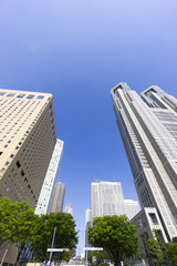 東京都庁と新宿高層ビル群　快晴青空　新緑