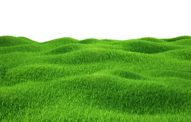 Obraz premium Green grass growing on hills with white background top view