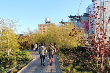 Fototapeta premium New York City / High Line Walkway