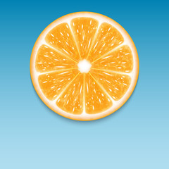 Orange slice