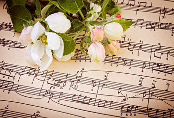Vintage notes with apple flowers. Soft focus.