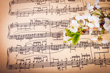 Vintage notes with cherry flowers. Soft focus.