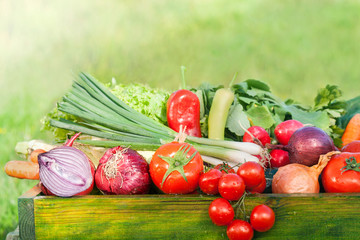 fresh organic vegetables