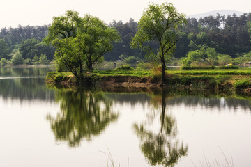 Fototapeta premium lake reflections