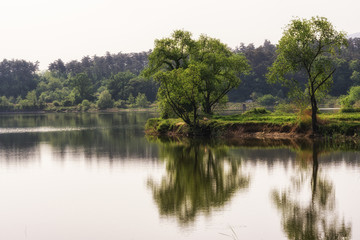 Fototapeta premium lake reflections