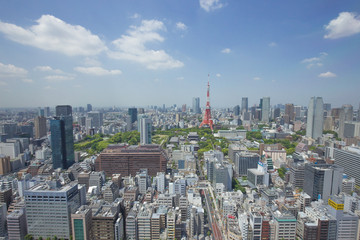 Naklejka premium 東京タワーを遠景に臨むを望む都市景観
