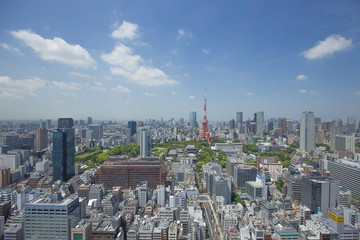 Fototapeta premium 東京タワーを遠景に臨む
