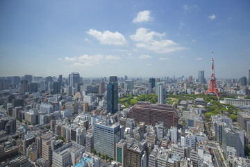 Fototapeta na wymiar 東京タワーを遠景に臨む