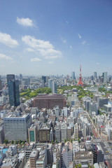東京タワーを遠景に臨む