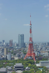 Fototapeta premium 東京タワーを遠景に臨む