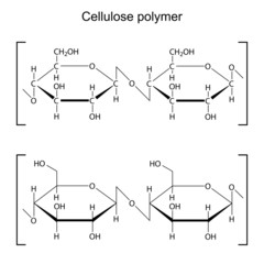 Cellulose polymer molecule - chemical formula