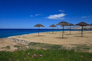 umbrellas of palm leaves on the seaside