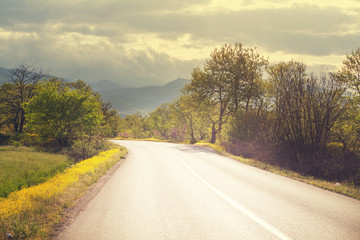 Fototapeta premium Road in field