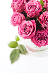 Bouquet of beautiful pink roses on white background, toned