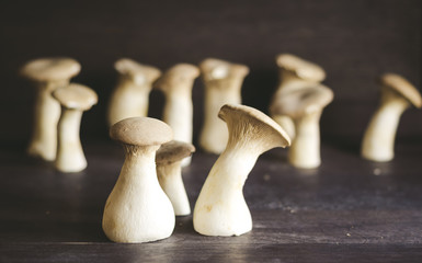 Mushroom Boletus over Wooden Background. Autumn Cep Mushrooms