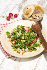 Feldsalat mit Speckwürfel, Croutons und Radieschen, Studio