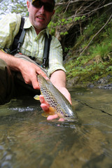 Fisherman releasing recently caught brown trout