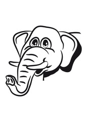 Elephant sweet funny elephants