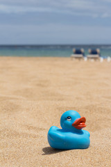 Fototapeta na wymiar White beach - sand, ocean, blue sky - sun beds and duckling