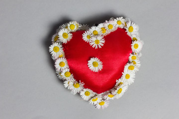 Herz mit Margeriten