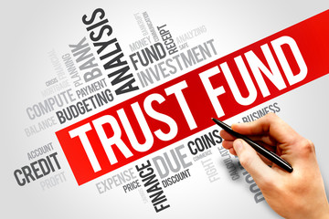 TRUST FUND word cloud, business concept