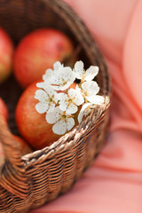 Red apples in basket on pink background background