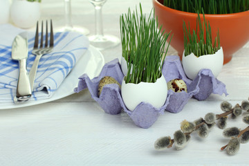 Green wheat sprouts in egg on a wooden background. Tableware