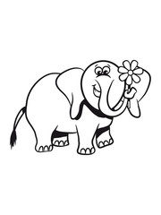 Elephant sweet funny comic