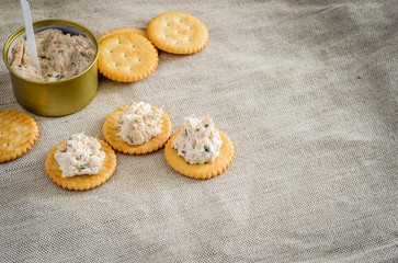 Cracker with tuna spread