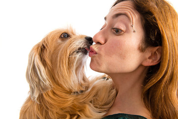 Dog kissing her owner