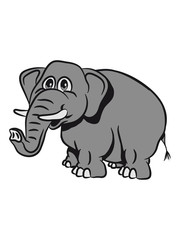 Sweet funny elephant