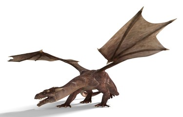 Obraz premium Fantasy Dragon