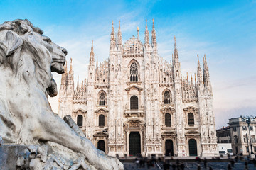 Fototapeta premium Duomo w Mediolanie, Włochy. Katedra. Symbol Mediolanu. Piękny dzień