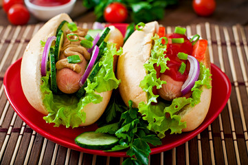 Hotdog with ketchup, mustard, lettuce and vegetables 