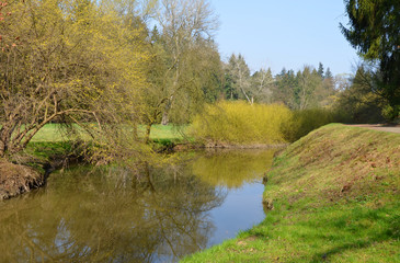 Meandering creek in the park