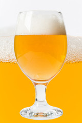 glass of beer on beer background