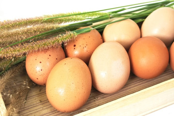 Eggs in wooden box and grass on white background
