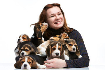 The woman and big group of a beagle puppies