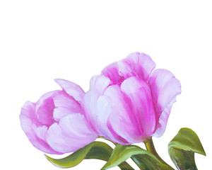 Obraz premium Vintage pink tulips.