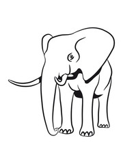 Strong African elephant