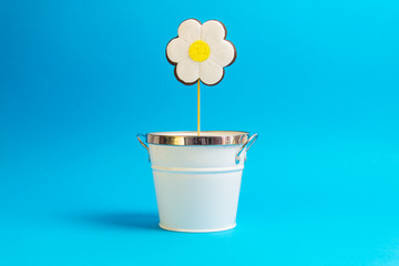 Biscotti Margherita cioccolato