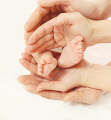 Closeup feet baby in hands mother and father
