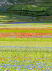 Piano Grande di Castelluccio (Italy)