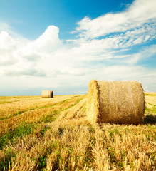 Fototapeta na wymiar Beautiful Farm Scenery with Haystack