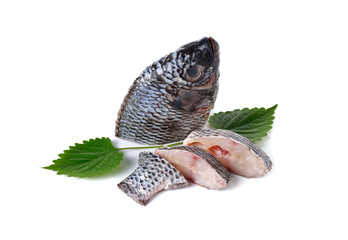 portion of fresh Tilapia fish on white background