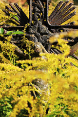 Jesus with yellow Flowers on the old village Cemetery