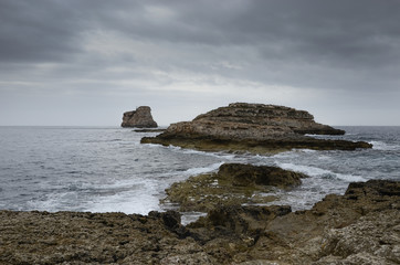 Naturaleza Salvaje