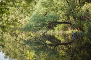 Beautiful landscape of the river and the green trees