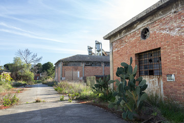 Abandoned industry in Sicily